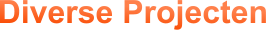 Diverse Projecten