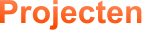 Projecten